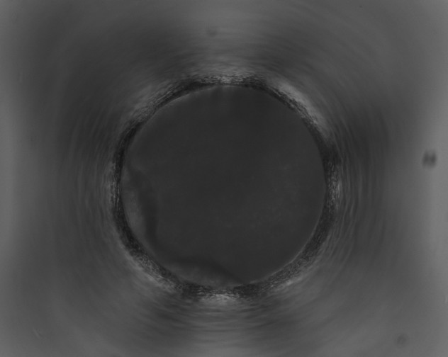 X0000089760594200707121405