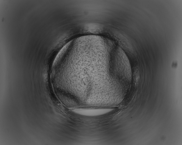 X0000089760595200707121405