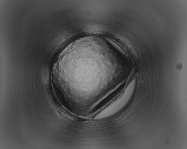 X0000089760596200707121405