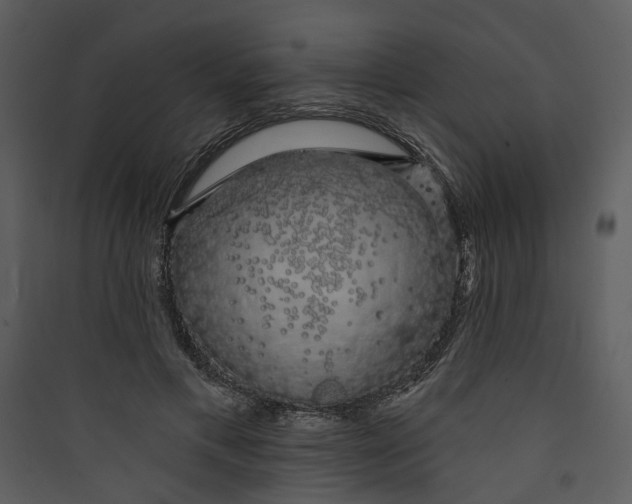 X0000089760597200707121405