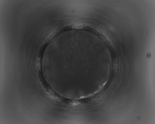 X0000089760598200707121405