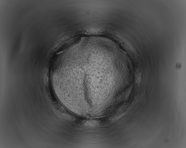 X0000089760599200707121405