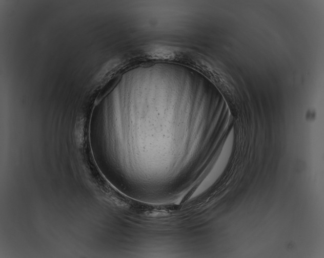 X0000089760600200707121405