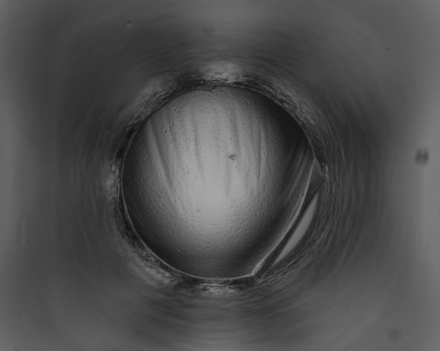 X0000089760601200707121405