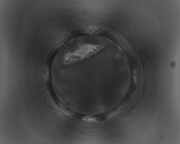 X0000089760602200707121405