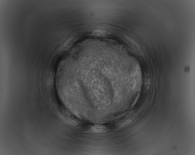 X0000089760603200707121405