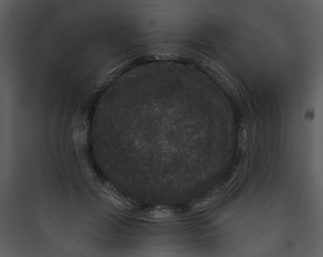 X0000089760604200707121405