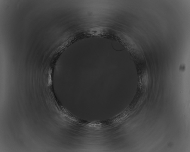 X0000089760606200707121405