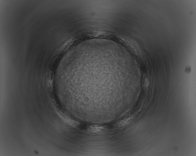 X0000089760607200707121405