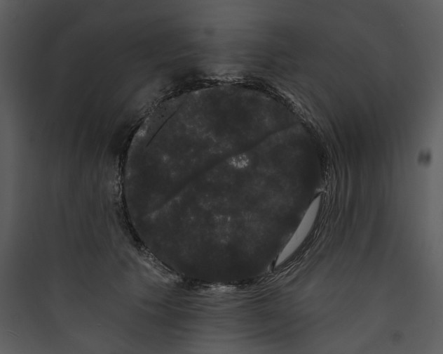 X0000089760609200707121405