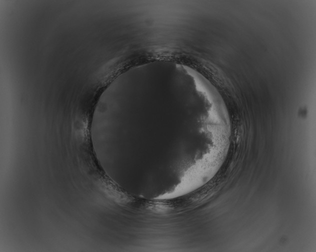 X0000089760610200707121405