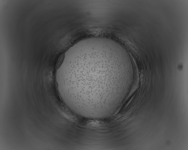 X0000089760611200707121405