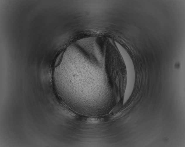 X0000089760613200707121405