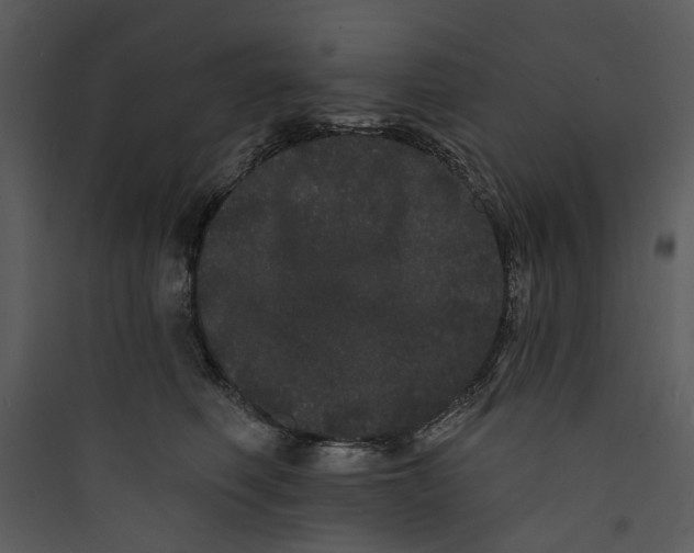 X0000089760614200707121405