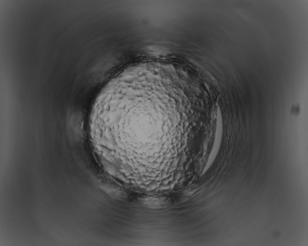 X0000089760615200707121405