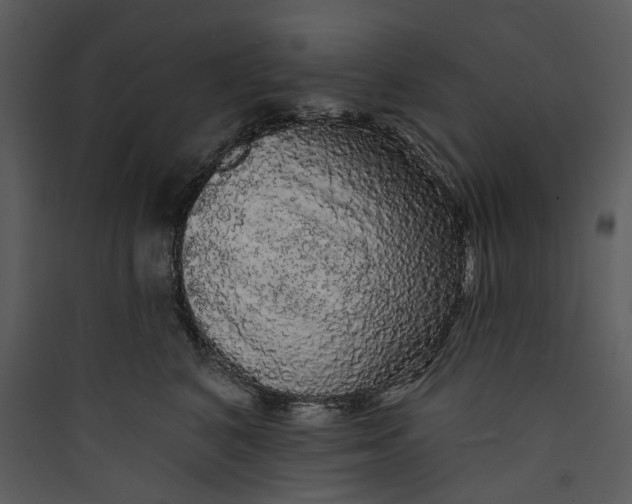 X0000089760616200707121405