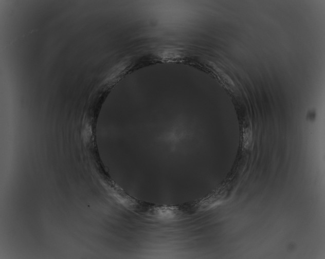 X0000089760618200707121405