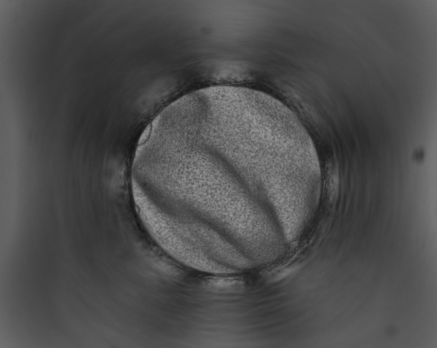 X0000089760619200707121404