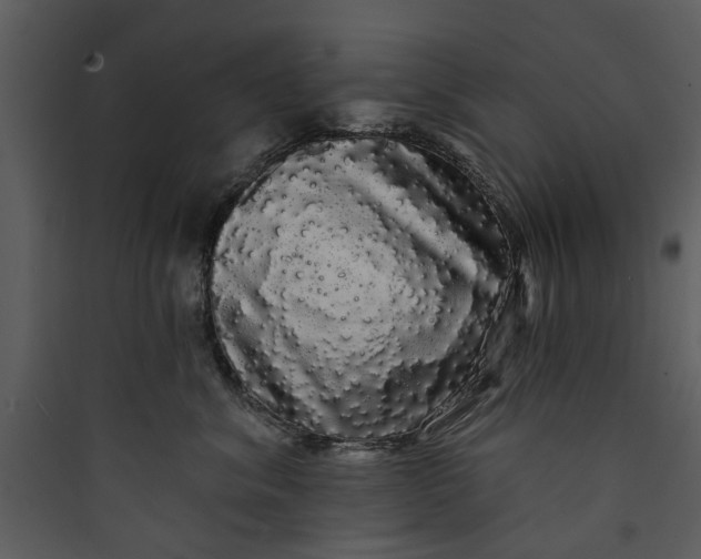 X0000089760620200707121404