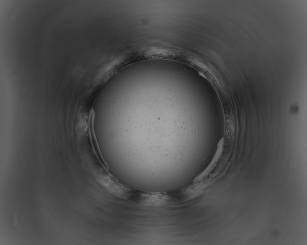 X0000089760621200707121404