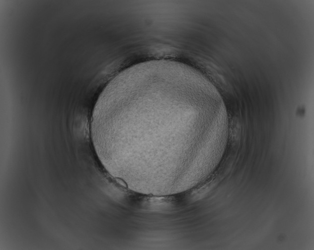 X0000089760622200707121404