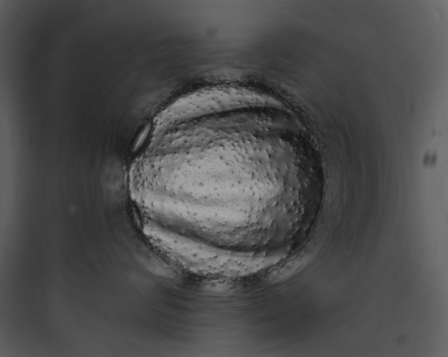 X0000089760624200707121404