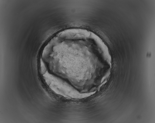 X0000089760626200707121404