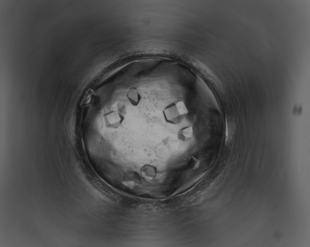 X0000089760627200707121404