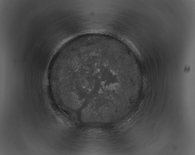 X0000089760628200707121404