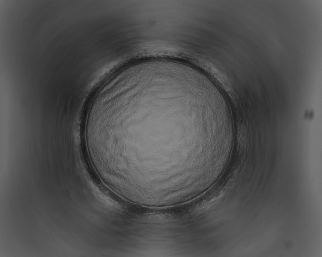 X0000089760629200707121404