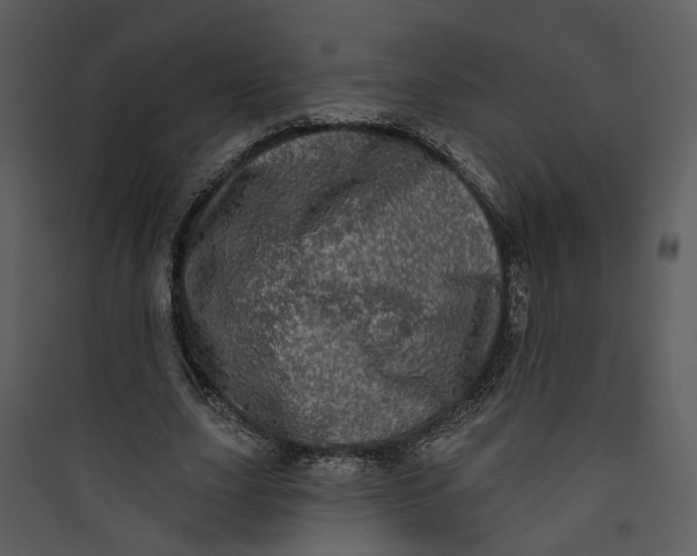 X0000089760631200707121404