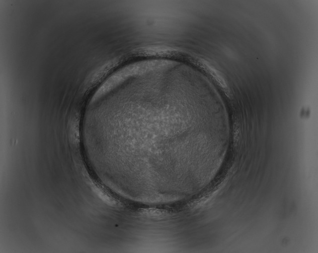 X0000089760633200707121404