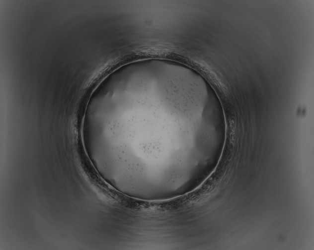 X0000089760634200707121404