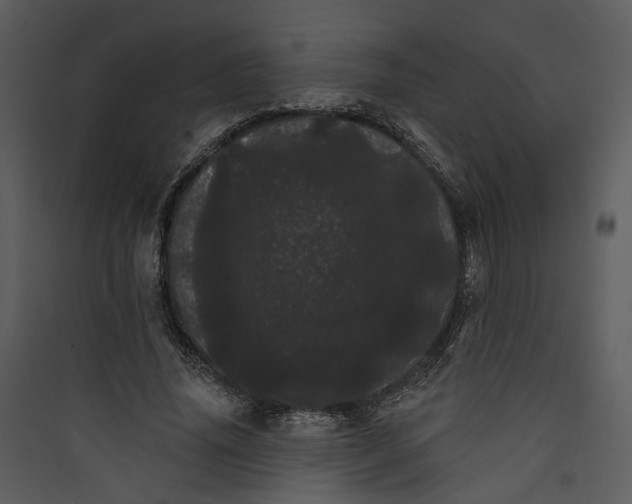 X0000089760636200707121404