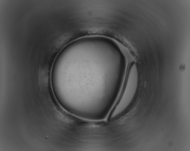 X0000089760637200707121404