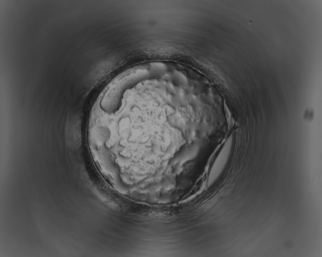 X0000089760638200707121404