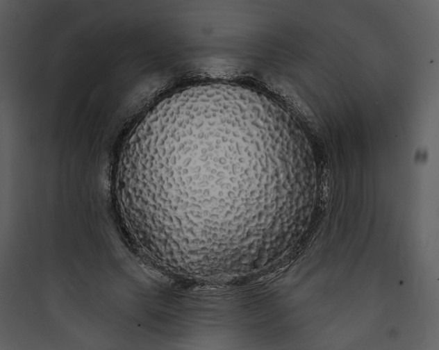 X0000089760639200707121404