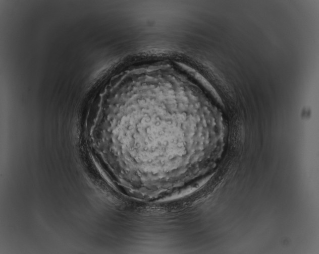 X0000089760640200707121404