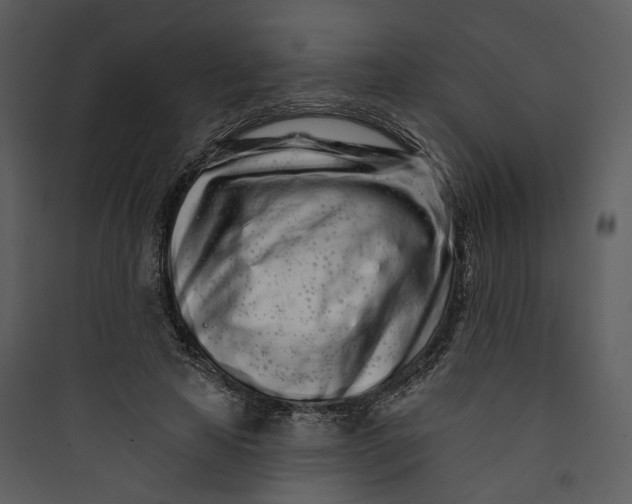 X0000089760641200707121404