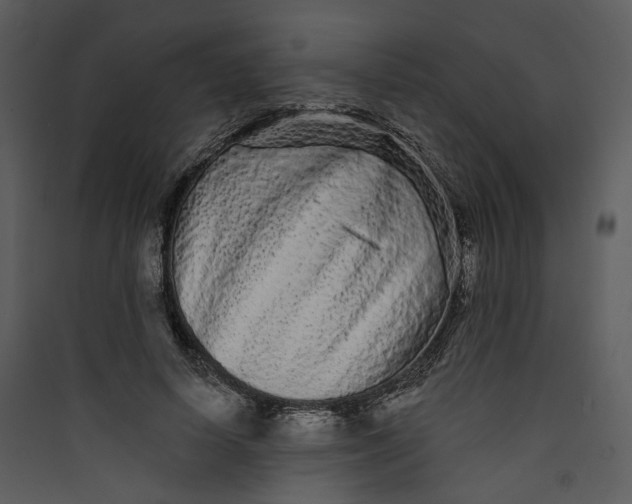 X0000089760642200707121404