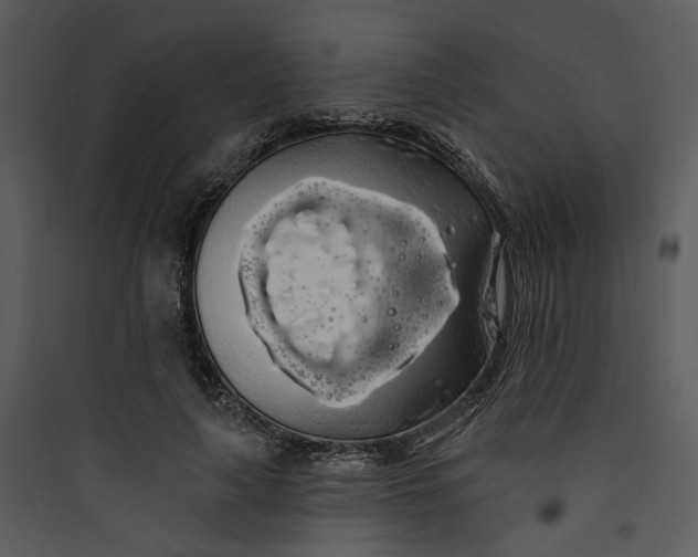 X0000089760643200707121404