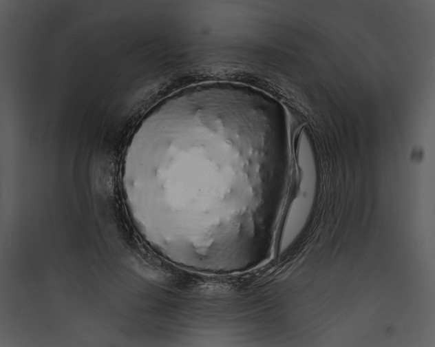 X0000089760644200707121404