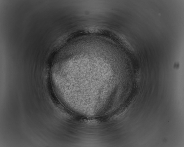 X0000089760645200707121404