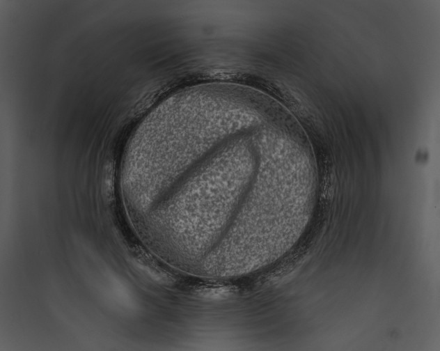 X0000089760646200707121404