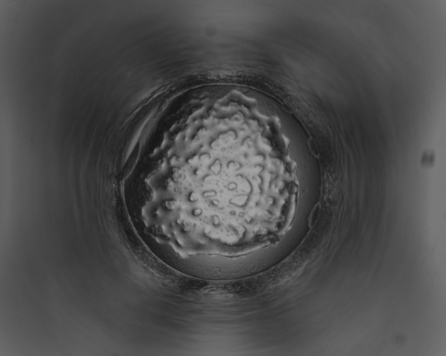 X0000089760648200707121404