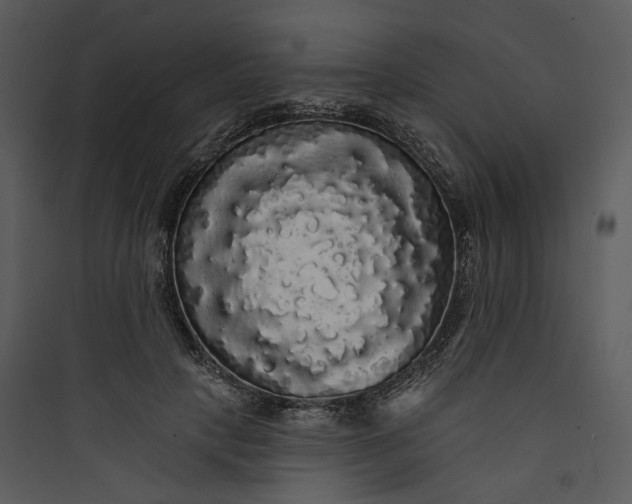 X0000089760649200707121404