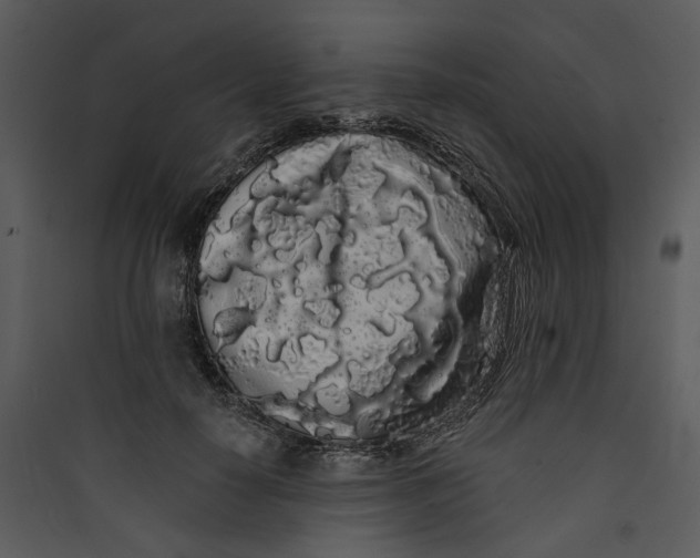 X0000089760650200707121404