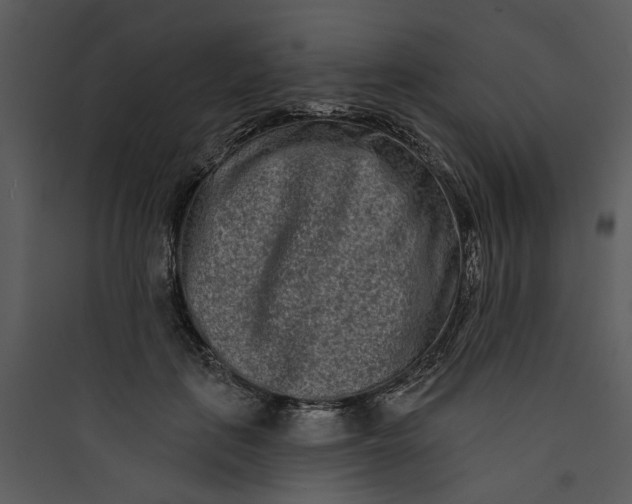 X0000089760651200707121404