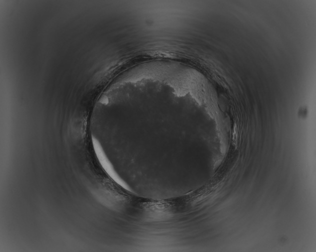 X0000089760652200707121404