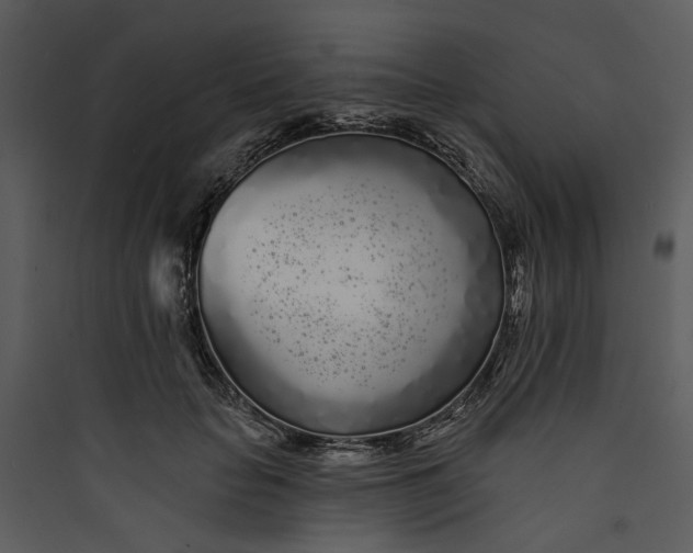 X0000089760653200707121404